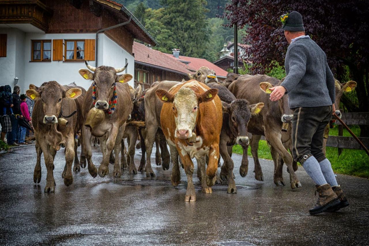 Ferienwohnung Zobl Füssen Buitenkant foto